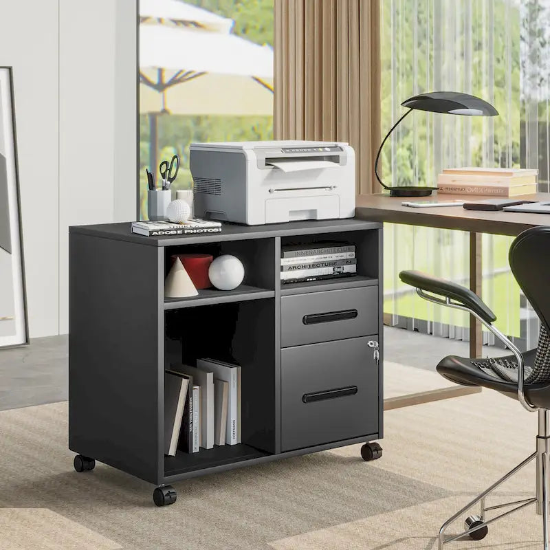 Modern Mobile Steel File Cabinet Lateral Filing Cabinet 2 Drawers
