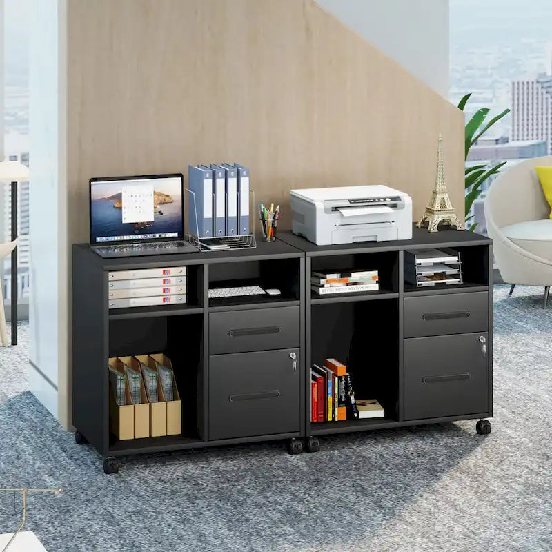 Modern Mobile Steel File Cabinet Lateral Filing Cabinet 2 Drawers