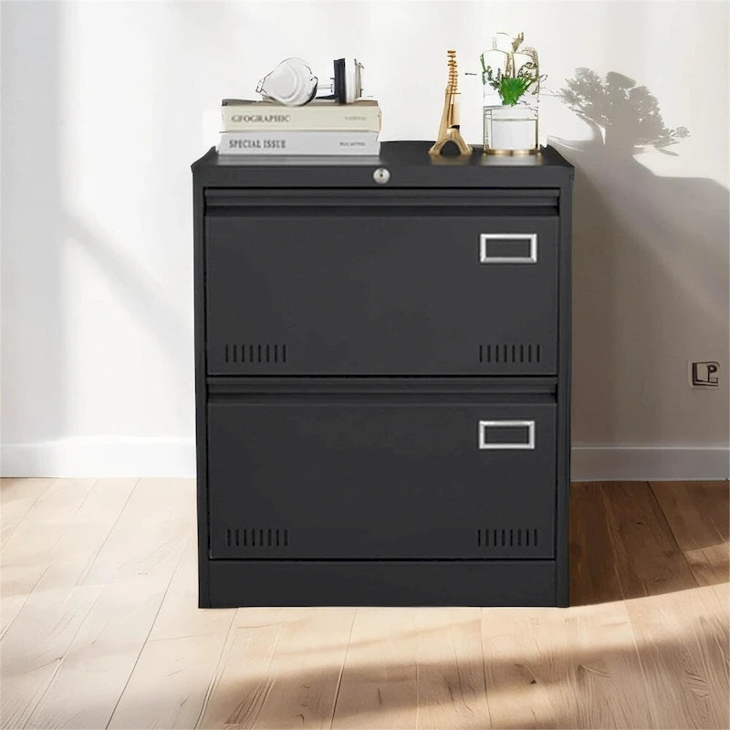 Metal Lockable File Cabinet with Lock and 2 Drawers