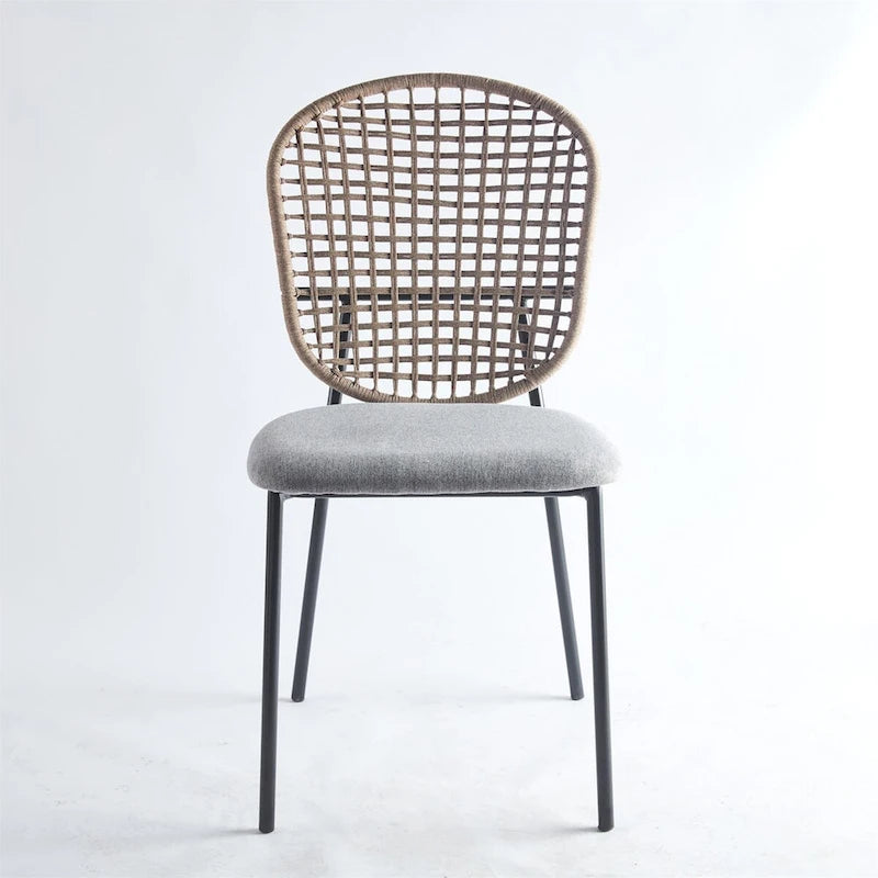 Modern Metal Accent Dining Chair (Set of 4)