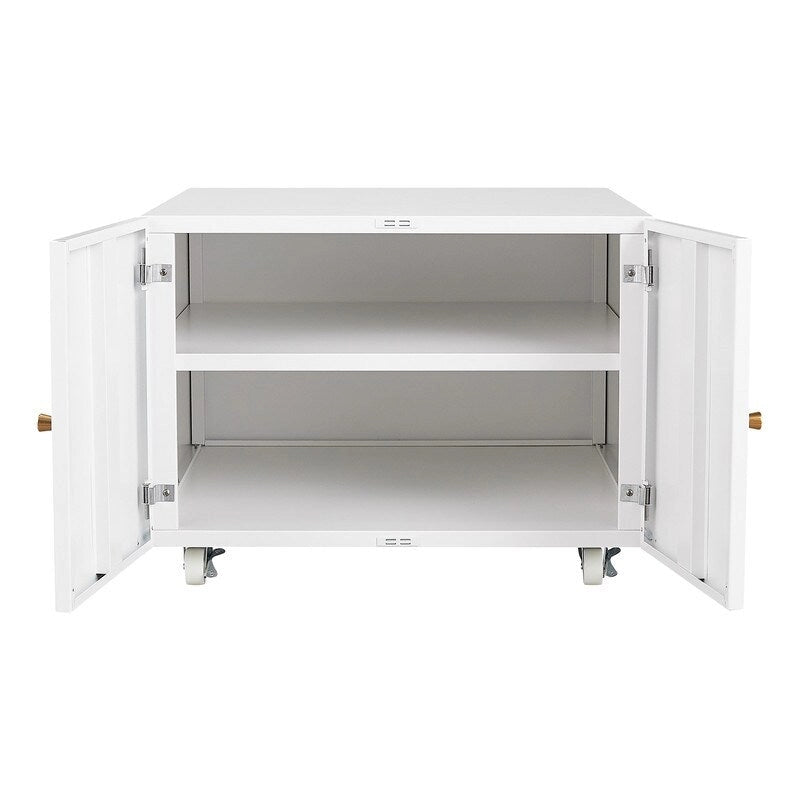 Printer Stand & Large Storage Steel Cabinet with Locked Wheel and Adjustable Shelf