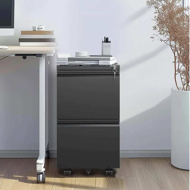 2 Drawer Metal Mobile File Cabinet with Lock for Hanging Legal/Letter/A4 Size