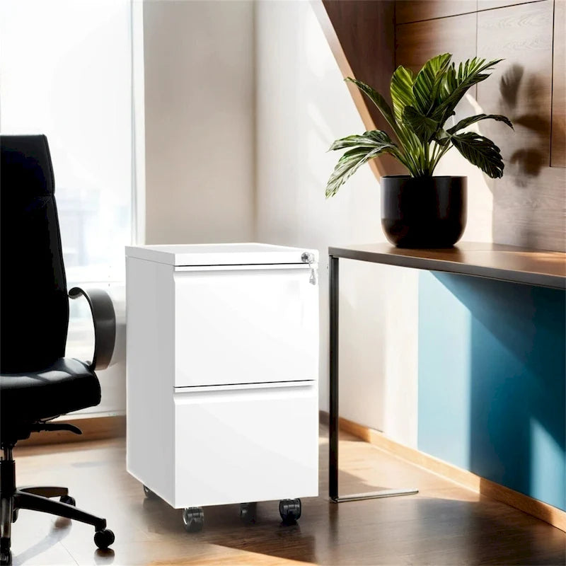 2 Drawer Metal Mobile File Cabinet,Rolling File Cabinet with Lock